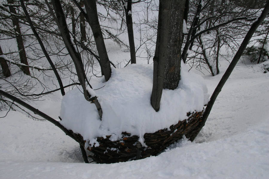 object bionaz in winter